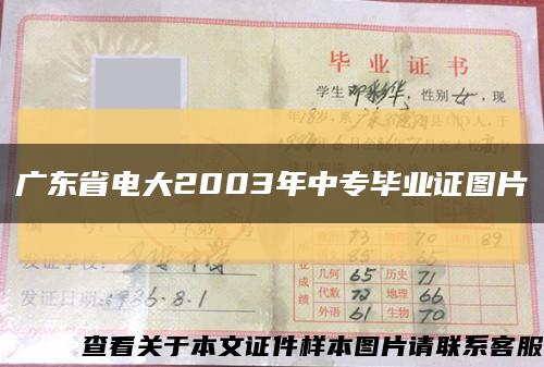广东省电大2003年中专毕业证图片缩略图