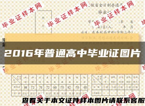 2016年普通高中毕业证图片缩略图