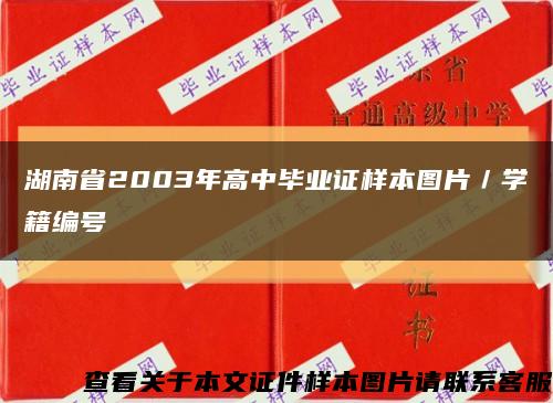 湖南省2003年高中毕业证样本图片／学籍编号缩略图