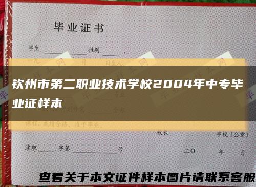 钦州市第二职业技术学校2004年中专毕业证样本缩略图