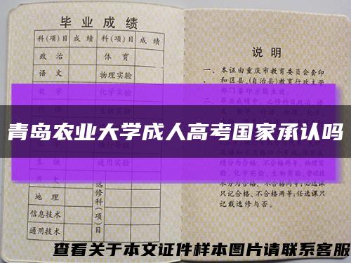 青岛农业大学成人高考国家承认吗缩略图