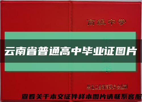 云南省普通高中毕业证图片缩略图